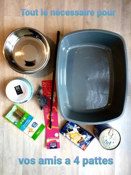Appartamento Cocooning Mont-de-Marsan Esterno foto